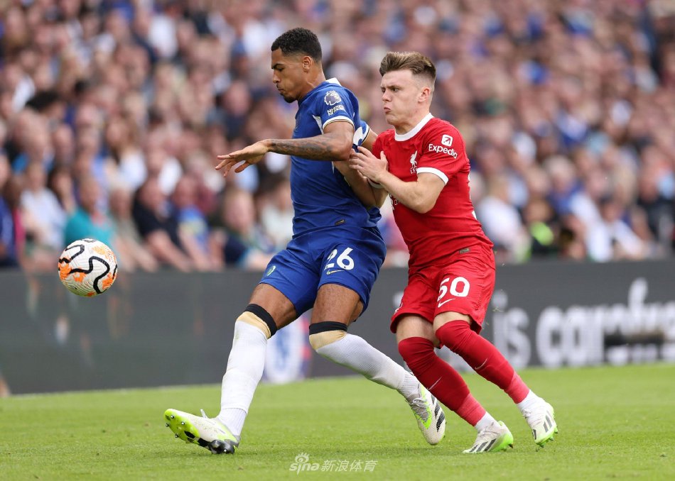 渐增强的竞 渐增强的竞